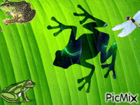 En charca verdosa animovaný GIF
