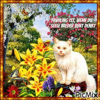 Frühlingskatzen - GIF animado gratis