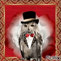 owl анимиран GIF