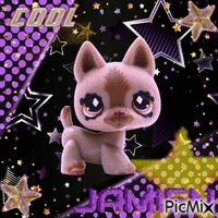 LPS #491 Animated GIF
