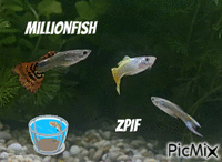 Millionfish - Бесплатный анимированный гифка