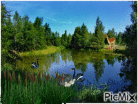 озеро - Free animated GIF