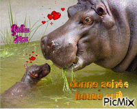 Hippopotame - Animovaný GIF zadarmo