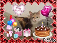 Happy Birthday to Pitzit! - Besplatni animirani GIF