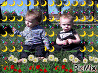 Nick & Trevor - Ilmainen animoitu GIF
