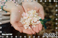 Beija flor geanimeerde GIF