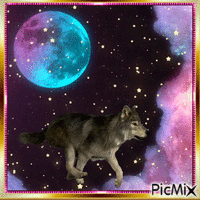 Lobo Animated GIF