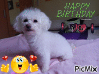 Születésnapra - Безплатен анимиран GIF