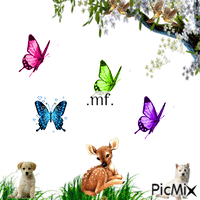 les papillons animovaný GIF