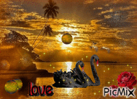 влюбленные лебеди - GIF animé gratuit