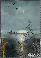 Pesca nocturna!! анимирани ГИФ