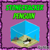 STONECRACKER PENGUIN - 免费动画 GIF