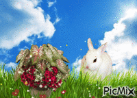 real bunny lmfao - Gratis geanimeerde GIF