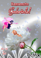 Gabriele GIF แบบเคลื่อนไหว