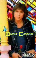 David Cassidy - Bezmaksas animēts GIF