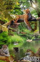 jungle анимиран GIF