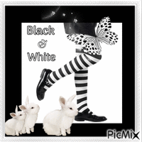 Black & White - GIF animado grátis