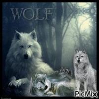 Wölfe - Darmowy animowany GIF