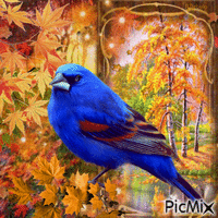 Birds in autumn GIF animé