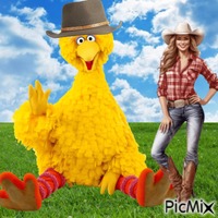 Big Bird and cowgirl - GIF animé gratuit