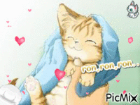 chaton !!! - GIF animado gratis
