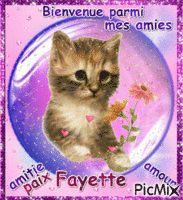 kdo pour Fayette ♥♥♥ Animated GIF