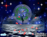 magicva noche - Bezmaksas animēts GIF