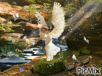 Angel of God helping a litle duck animeret GIF