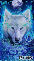 BLUE WOLF animirani GIF