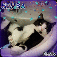 SIMBA - Бесплатный анимированный гифка