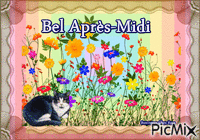 Bel Après-Midi - Bezmaksas animēts GIF
