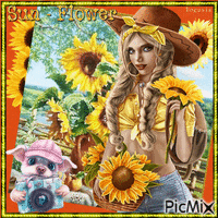 Sunflower GIF animata