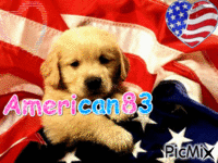 american83 - Free animated GIF