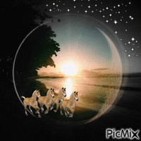αλογακια - Darmowy animowany GIF