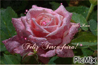 terça f rosa fb mc - 無料のアニメーション GIF
