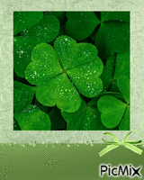 clover greeting card template Animiertes GIF