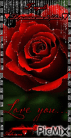 Rosa Pasión Animated GIF
