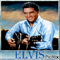 Elvis the King 4