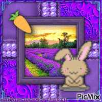 {Cute Hopping Bunny in Purple} анимированный гифка