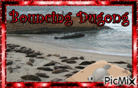 BOUNCING DUGONG - Δωρεάν κινούμενο GIF