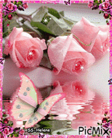 Three pink roses. Animated GIF