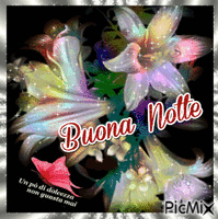 Buona notte - Zdarma animovaný GIF