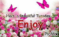 Have a beautiful tuesday - Безплатен анимиран GIF