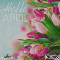 Hello April - Free animated GIF