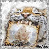 HD tigre avec Marilyn - GIF animé gratuit