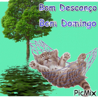 Domingo - Darmowy animowany GIF