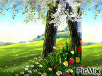 wiosna - GIF animé gratuit