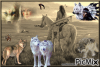 loups amérindiens Animiertes GIF