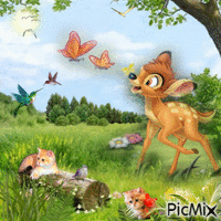 Ein Tierbild - GIF animé gratuit