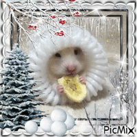...ce hamster n'a plus froid...:) - Free animated GIF